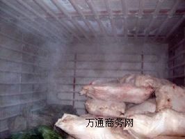 rʳŴكҺϷʢѩ