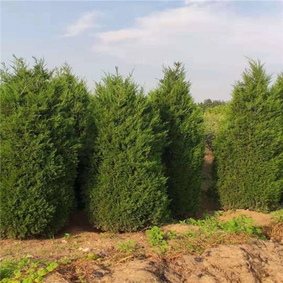 1ס2~2~l(f)؛3~r