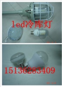 led픰b