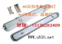 福州低溫冷庫燈,抗低溫?zé)?圖)
