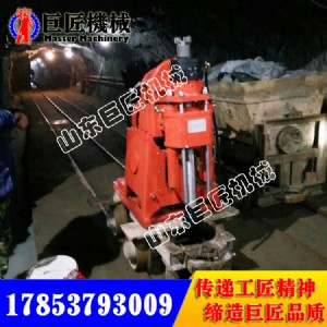 zlj-650úVI(y)ӵ@C SֱN r(yu)
