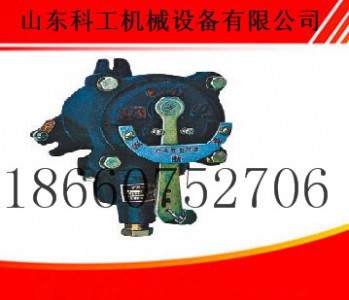 ػݮa(chn)ƷcBAX1(GX-1)