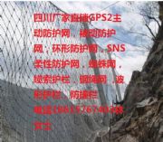 ĴFؑcRX-050(dng)ηo(h)W(wng)S䓽zW(wng)