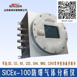 iict6ھ(xin)xsicex-100(j)