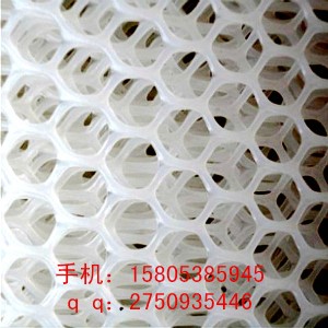 (yng)̩ݸߏ(qing)W(wng)·W(wng)