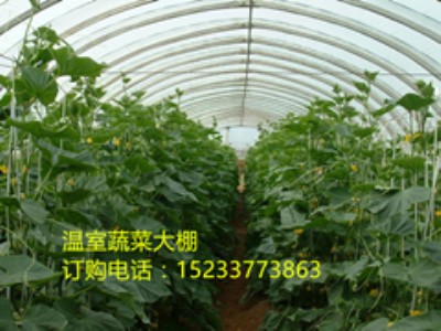 Qh(yun)I|(zh)(yu)r(ji)(jng)õĎ䓴Ǽ