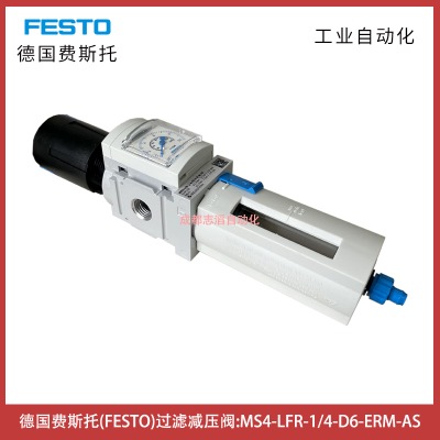 ms4-lfr-1/4-d6-erm-as(gu)M(fi)˹fest