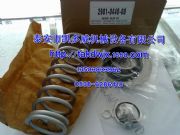 cc102954637946638ǸgdSSް