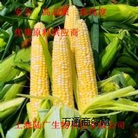ģձĠIB(yng)턩