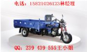 Ħ܇ q1̫200-2.55_(ki)T̿ ݆Ħ