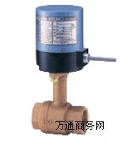 小型電動(dòng)閥EA200-TLE