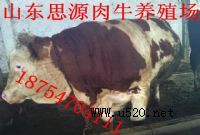 KţB(yng)ֳ,NţX(˼ԴI(y)
