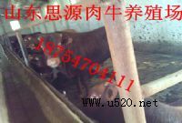 ţB(yng)ֳ,NţX(˼ԴI(y)
