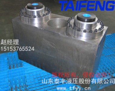 供應(yīng)WST200-00泰豐數(shù)控折彎機油缸