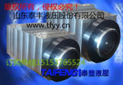 供應(yīng)WS67K-400DH-00泰豐數(shù)控折彎機(jī)油缸