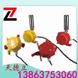 pK_PKLT2-II KLT2-2 pƽK_P