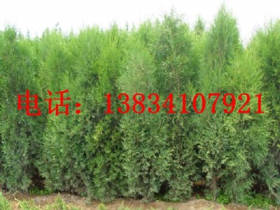 2ׂȰ-3ׂȰ-25Ȱ-3ׂȰ؃r