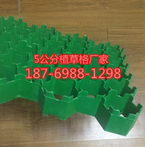 5ֲݸ