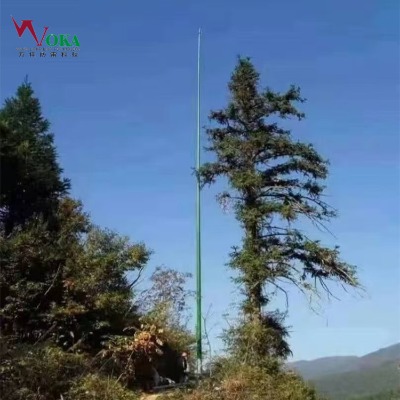 Řp|(zh)^䓱 15׷(c)W䓽WU L10