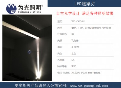ledֱ ˮͶ