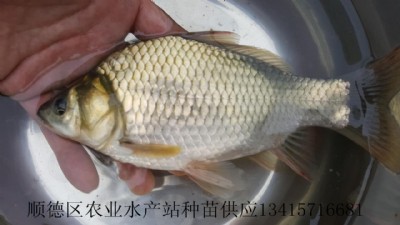 a~Ϸa~磬a~