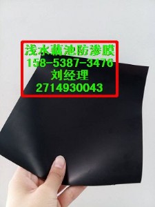 ݡˮa(chn)B(yng)ֳ0.5mmBĤr