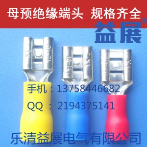 fdd1.25-110-8ĸA(y)^^䉺ӽӾǏSֱN