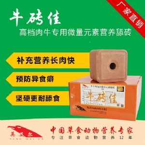 ţu,ţӄ,ţuX(qin)