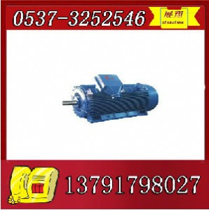 ybk2-250m-8늙C