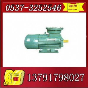 ybk2-280s-8늙Cr(yu)