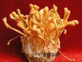 (yu)|xأxaSx؃r